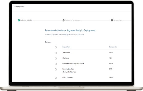 Audience11 Platform Laptop Screenshot